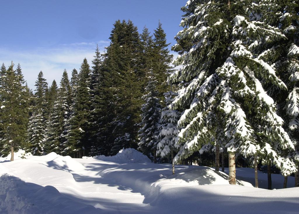 Jura Hotels Ilgaz Mountain Resort Exterior photo